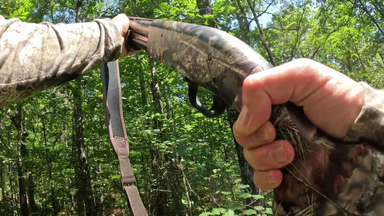 Squirrel Hunting Season Begins – First Hunt of 2025 in N GA!