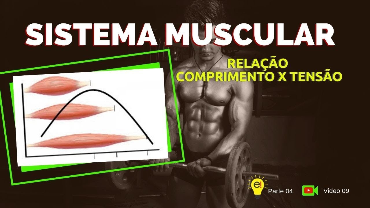 Sistema Muscular - Relação Comprimento x Tensão