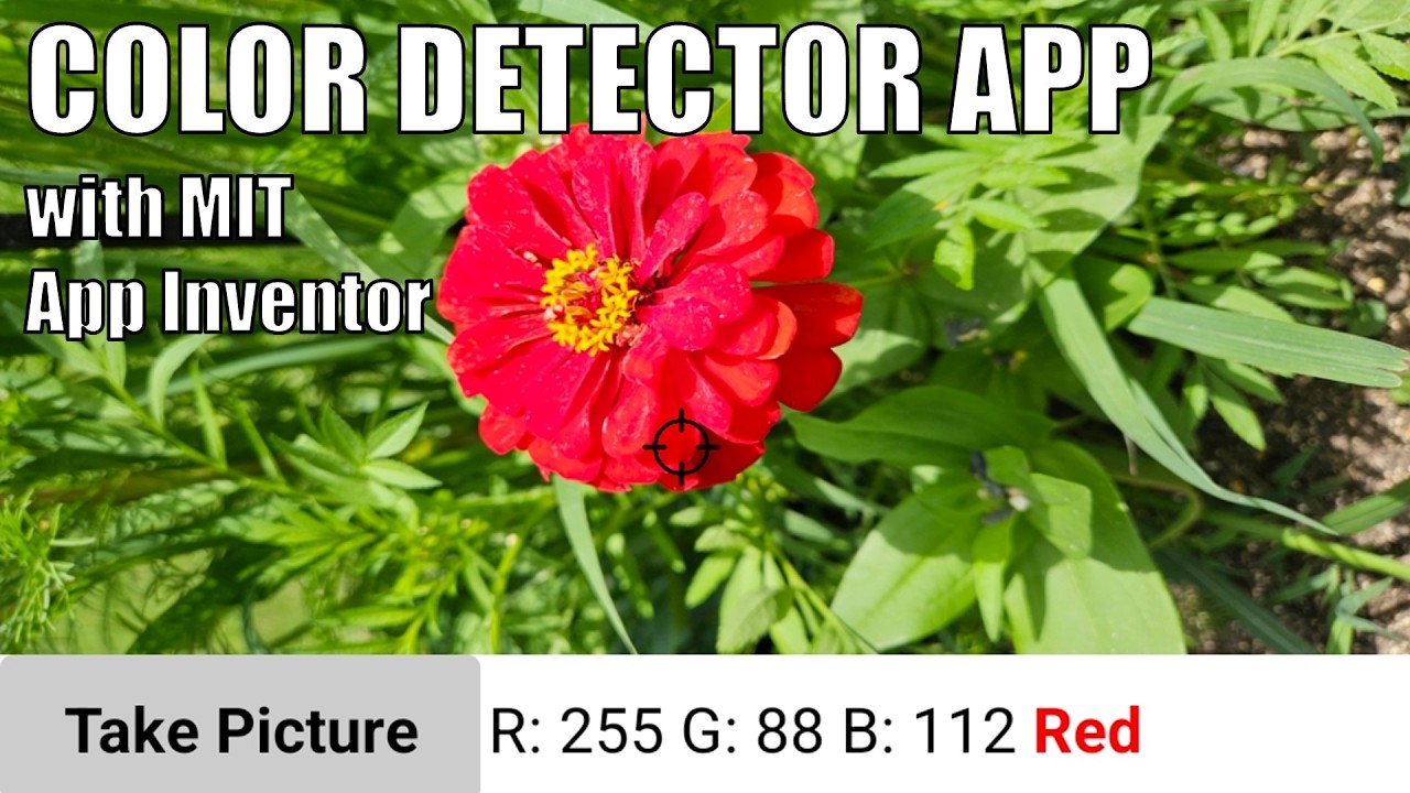 Make a Color Detector App with MIT App Inventor | Science Project