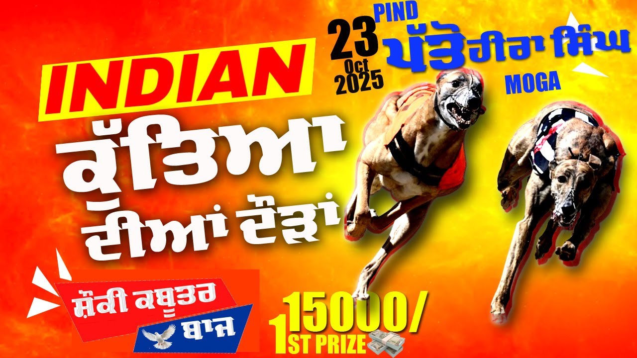 🔴Live🔴 indian ਸ਼ਿਕਾਰੀ ਕੁੱਤਿਆਂ ਦੀਆਂ ਦੌੜ ਪਿੰਡ ਪੱਤੋ ਹੀਰਾ ਸਿੰਘ ਵਾਲਾ (ਮੋਗਾ) 23-10-2025