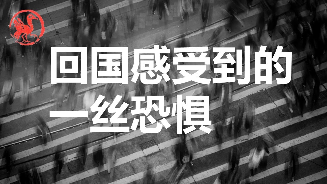 新加坡印象【回乡偶记】：中国式过马路 VS 新加坡城市交通