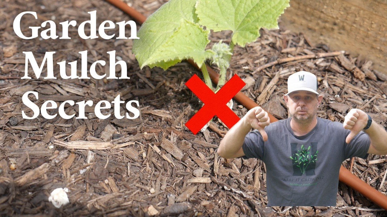 Hidden Power of Mulching Your Garden