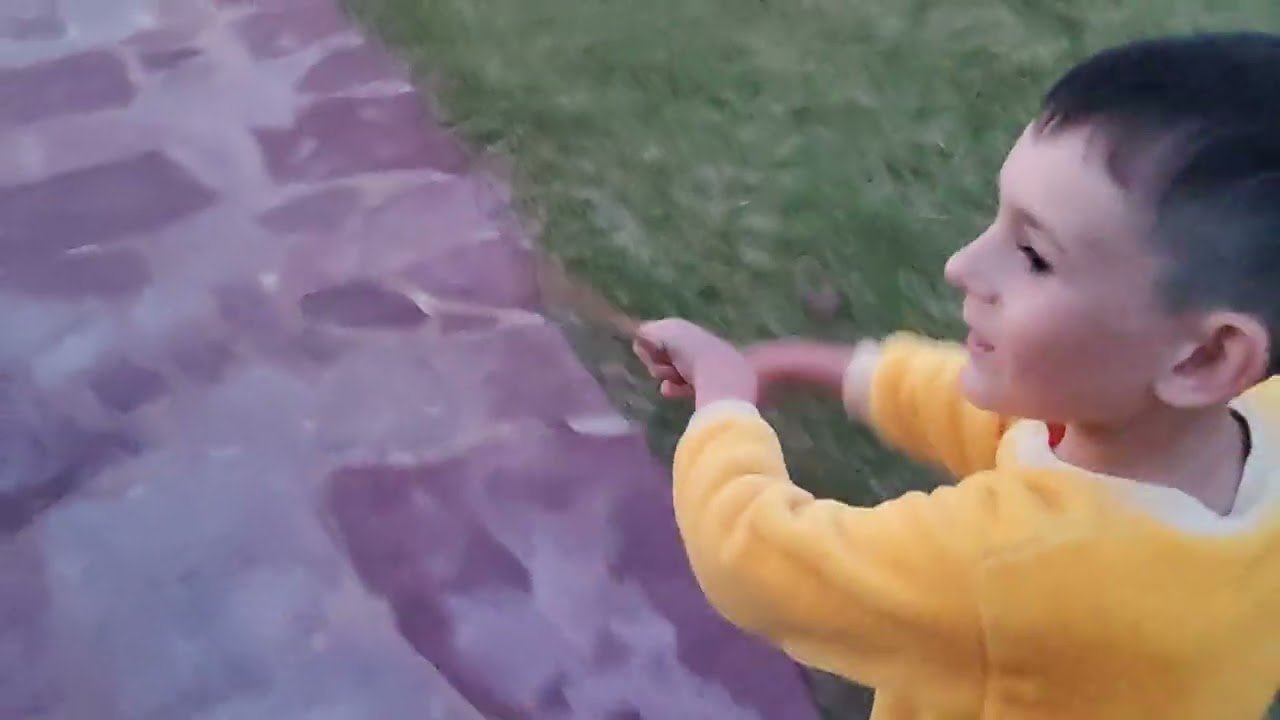 Ето наш  вечер на нас чуть не напали летучие мыши?!