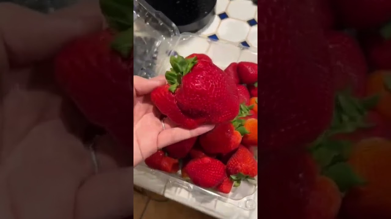 Is this the biggest strawberry ever? #shorts #strawberry #worldrecord