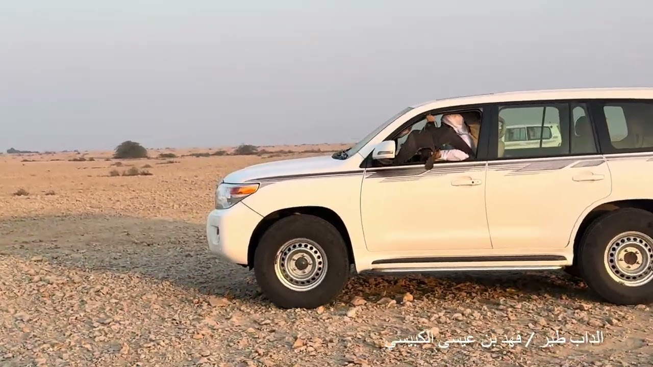 #اكسبلور #قطر #مقناص #تصويري #حبارى #صيد 