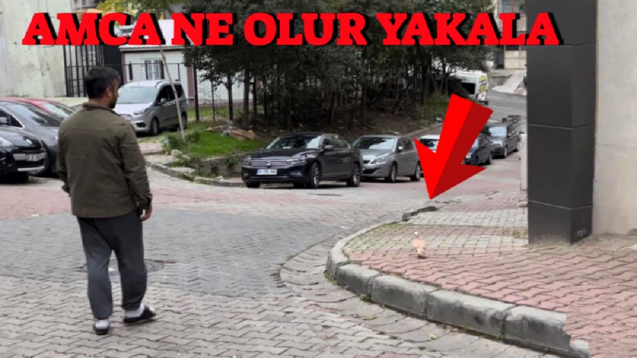Emirin Sarı Baskalarından Bir Tanesi Kaçtı ( Sokakta Peşine Düştüm Yakaladım mı )