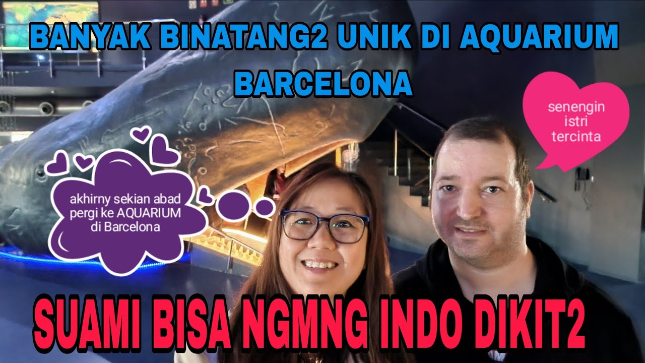 SUAMI MEMEI SKRG DIKIT2 BS NGMNG INDO!PERTAMA X PERGI KE AQUARIUM BARCELONA SEKIAN ABAD DI BARCA!