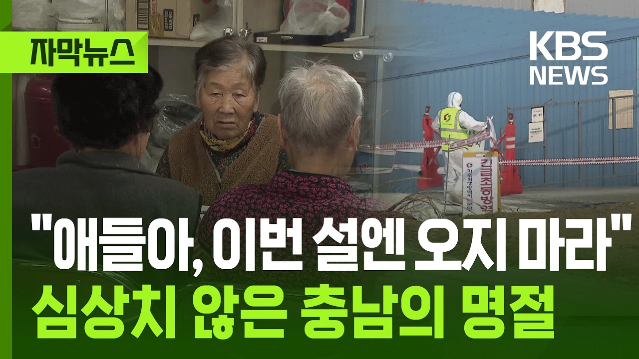 [자막뉴스] 