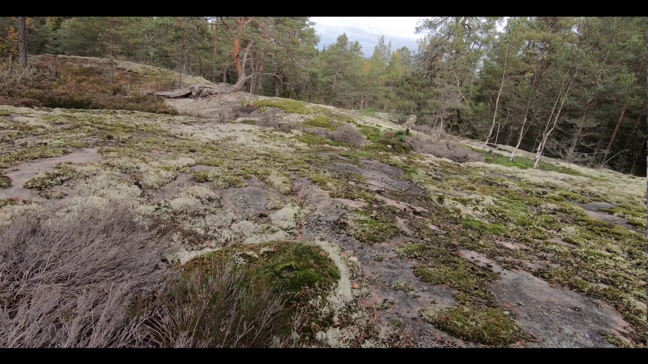 ATV ja Tukkikärry - Puuta nurin - Osa 1
