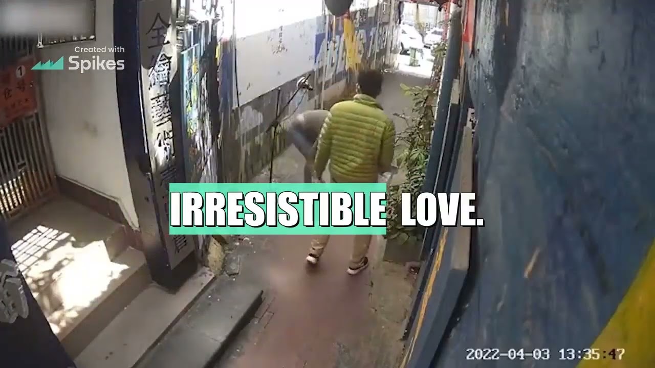 "¡Carcajadas Express!"
