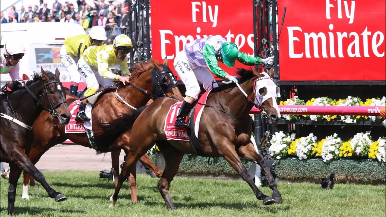 Prince of Penzance ~ 2015 Melbourne Cup