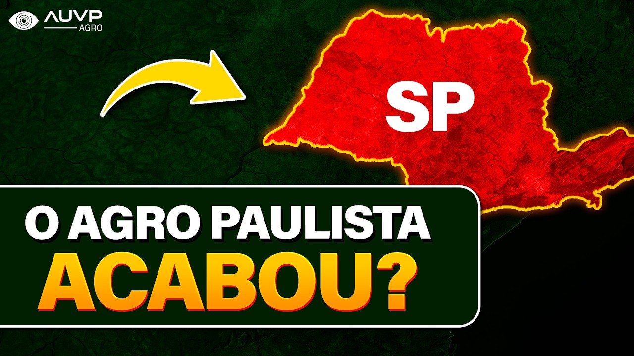 São Paulo ainda é uma potência no agronegócio?