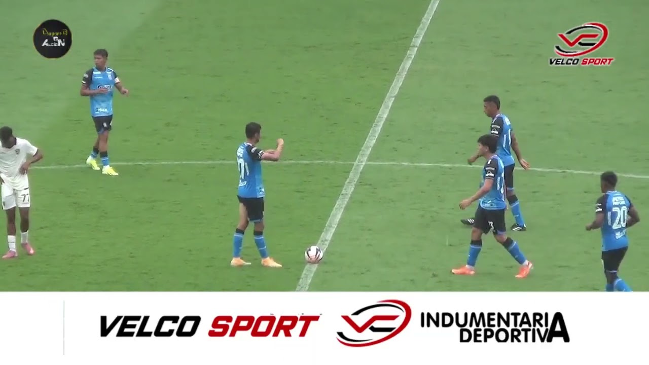 BLOOMING 1 - 3 BOLIVAR