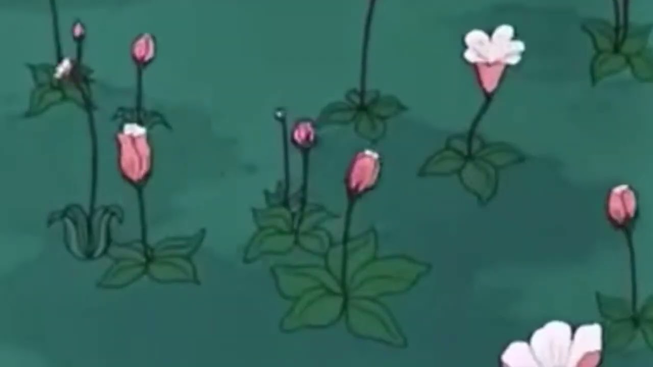 CRANE SONG BY TOLEDO (SLOWED + REVERB)