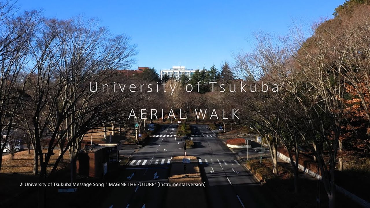 University of Tsukuba AERIAL WALK