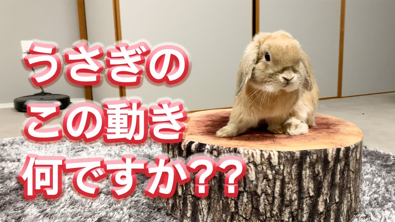 たまにこの動きをするけどこれなに？？