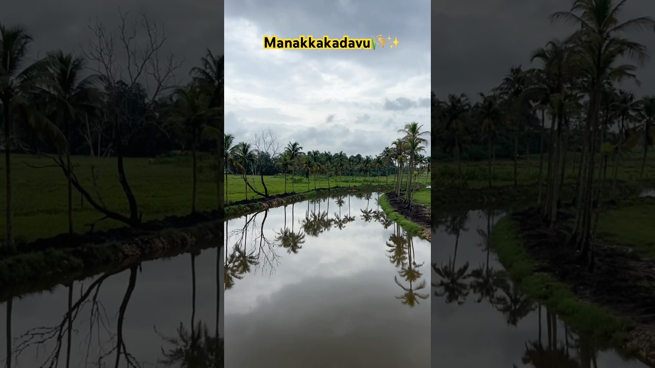 Manakkakadavu, kakkanad🌾🌿