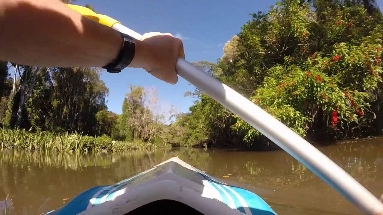 Kayaking Bulimba Creek Brisbane Australia