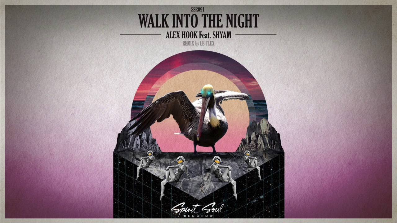 Alex Hook feat. Shyam - Walk Into The Night (Le Flex Remix)