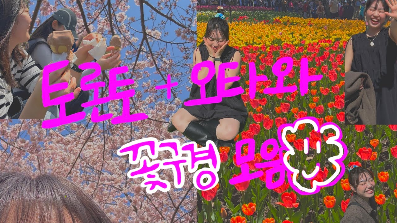 토론토 + 오타와 꽃구경 모음