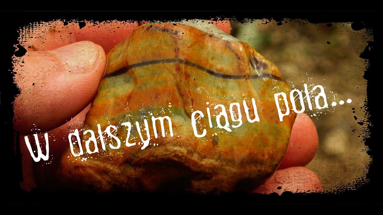 W poszukiwaniu skarbów natury - W dalszym ciągu pola :D