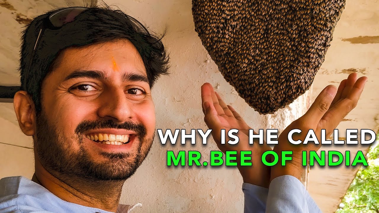 Why Is He Called Mr. Bee Of India | Anuj Ramatri - An EcoFreak