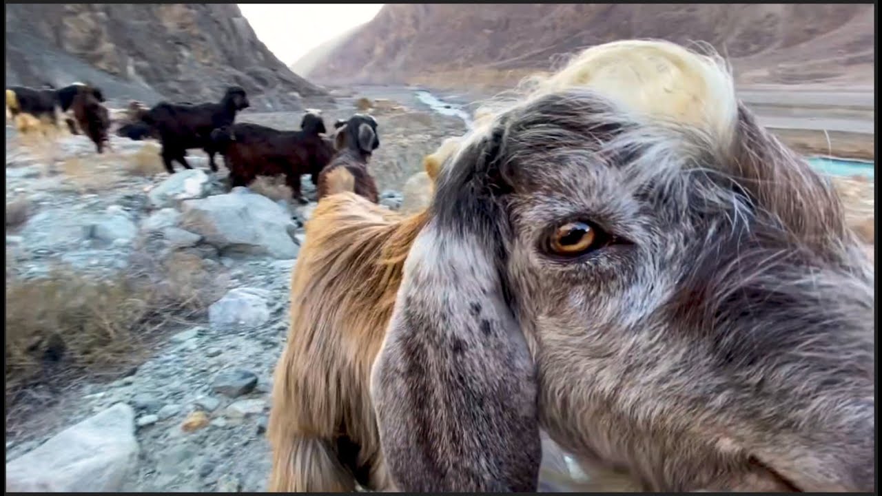 HUNZA TRIP 2020 S01E01