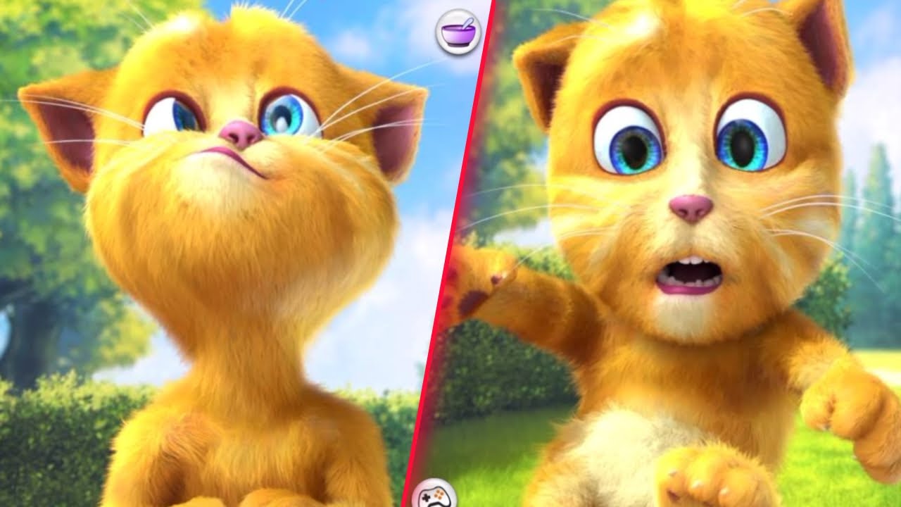 Talking Ginger - Fun Time with Talking Cat 🤣🥳🤩🤪🤣😅🥹