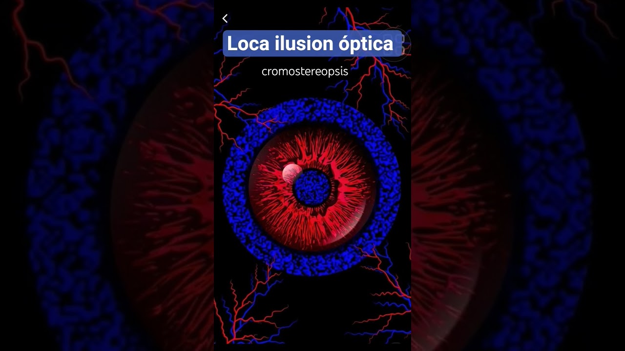 🤪LOCA ilusión óptica 
