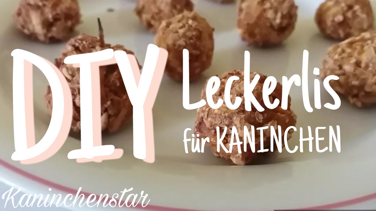 DIY Leckerlis f&uuml;r Kaninchen 🐇🍭 | Kaninchenstar
