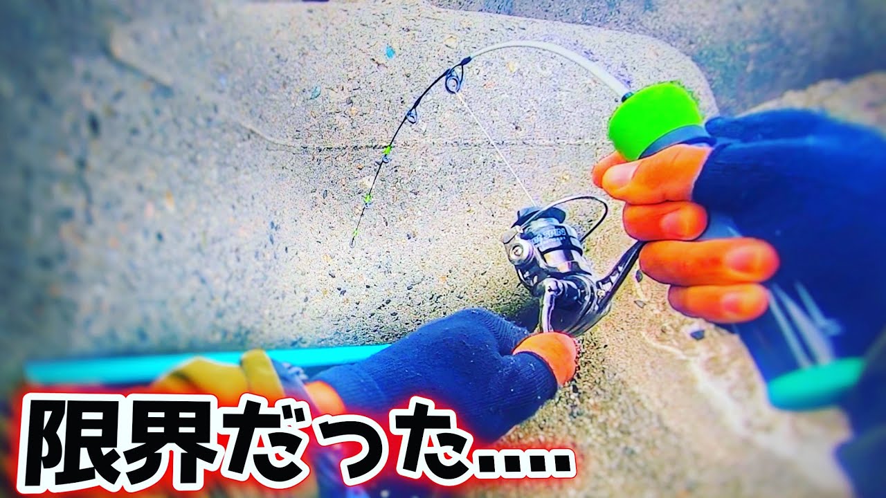 【穴釣り】離島で噂のロッドの限界に挑んだ。　ジャッカル　エッグアーム