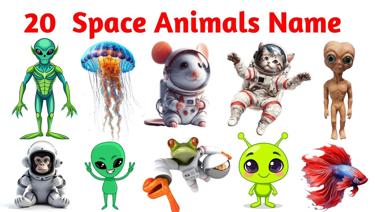 20 Space Animals Names || बच्चों के लिए अंतरिक्ष के जानवर 🌌