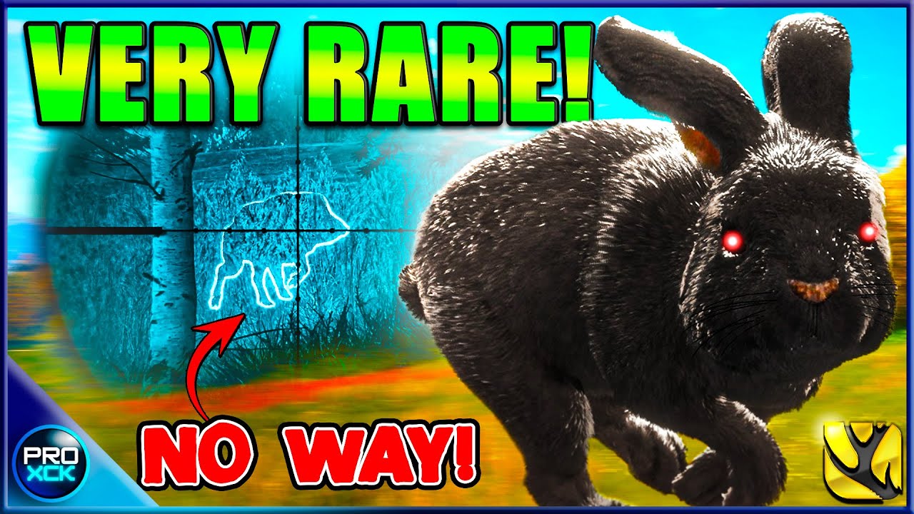 Surprise MELANISTIC Euro Rabbit!! | theHunter Call of the Wild