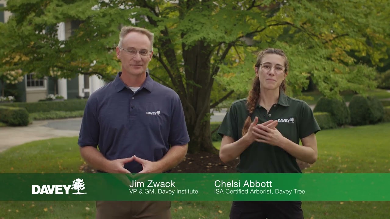 How to Improve Soil Health with Biochar