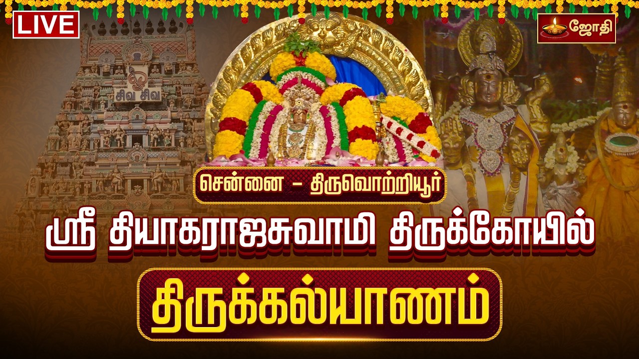 🔴LIVE: சென்னை - திருவொற்றியூர் ஸ்ரீ தியாகராஜசுவாமி திருக்கோயில் திருக்கல்யாணம் | Thirukalyanam