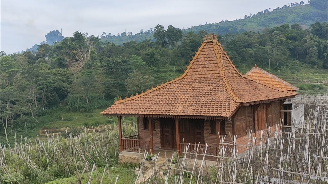 Tercandu..Indahnya Pagi Desa Terpencil yang Damai Bikin Betah di Gunung Ungaran