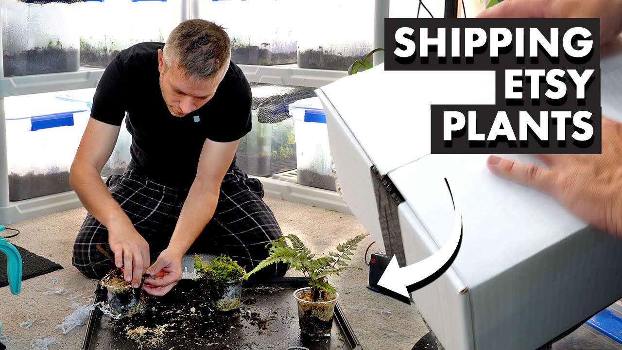 Shipping terrarium plants to Cali + Etsy shop update.