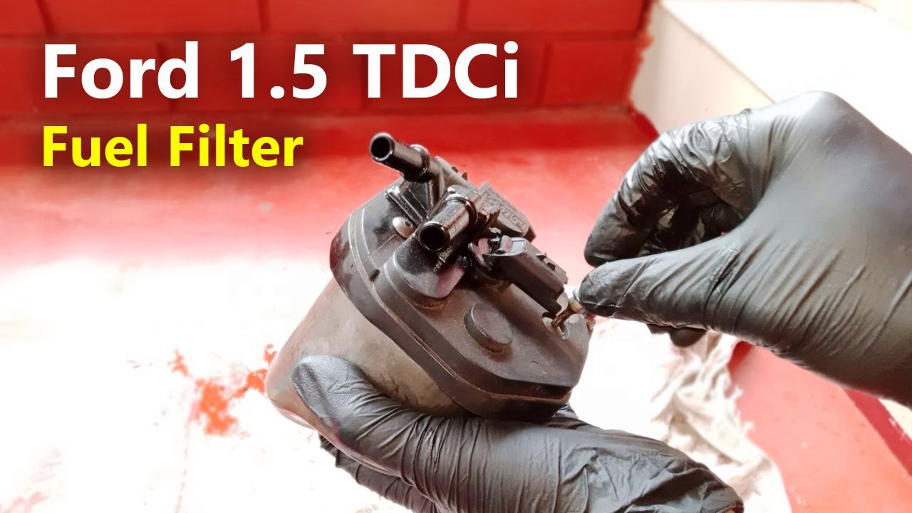 Ford 1.5 TDCi Diesel Fuel Filter Change | Fuel filter guide | Aspire | Ecosport | Freestyle | Fiesta