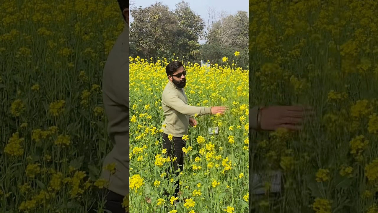 Veer Vikas sir #shorts #bscagriculture @FarmersLoveAgriculture
