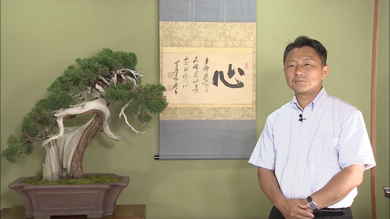 KAZUYOSHI NOGAMI, Seikoen Garden, Takaoka, Toyama Prefecture
