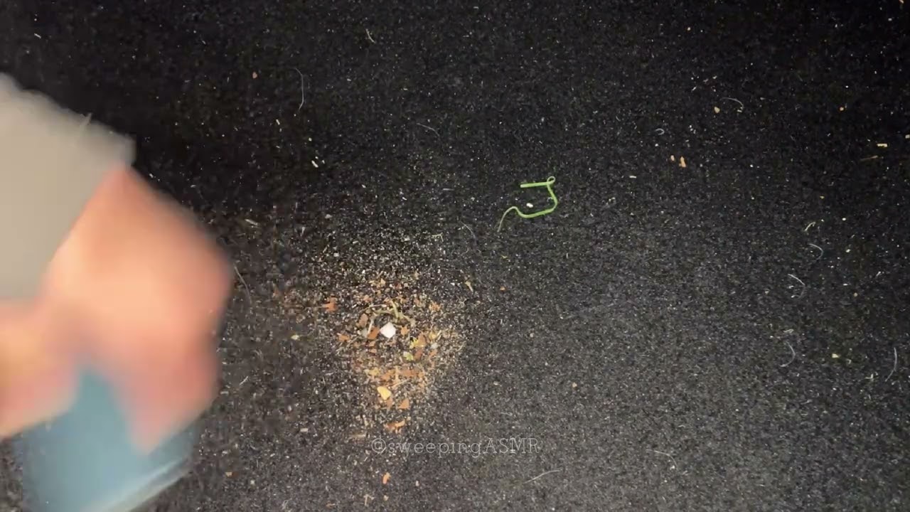 Brushing Car Carpet Asmr #carpetcleaning #carpetasmr 