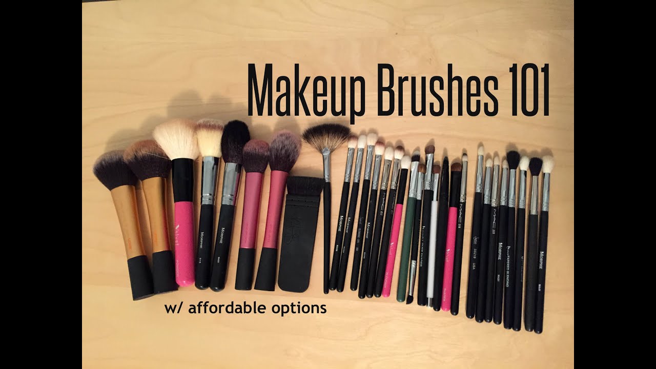 My Makeup Brushes 101 (Afforable Options) | Babybellykelli
