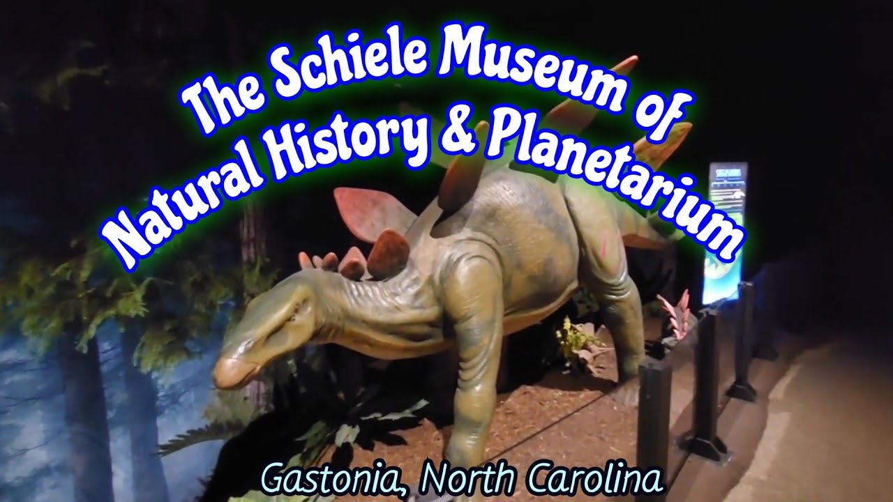 The Schiele Museum of Natural History & Planetarium | Gastonia, NC | 2024