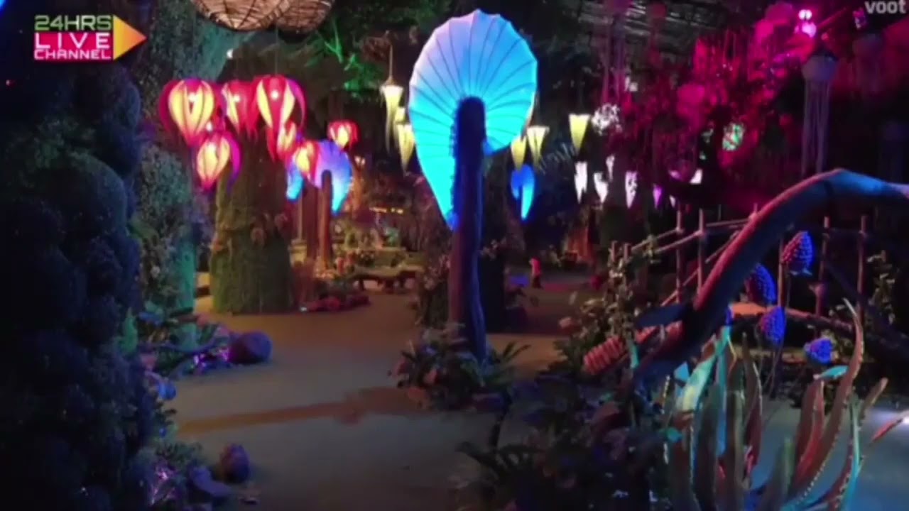 Jungle Days Tejran Moments part : 1 l Jungle Days l Tejran Moments l Tejran Moments l Bigg Boss 15😍