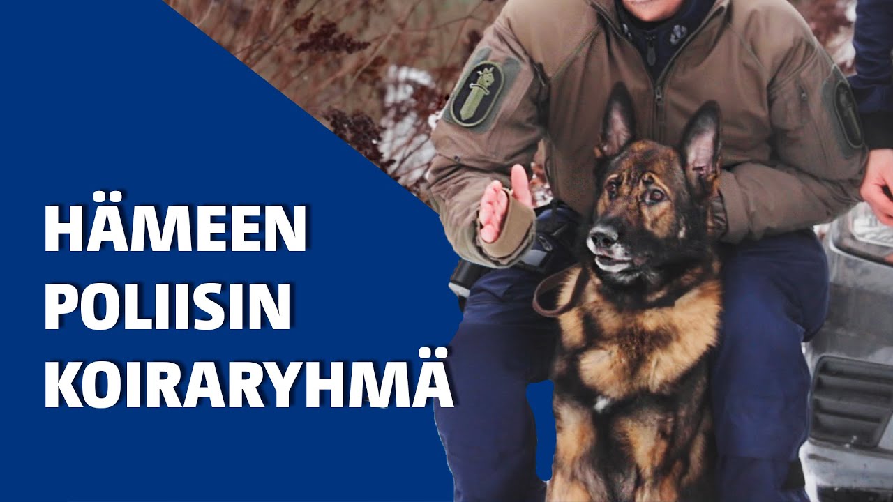 Hämeen poliisilaitoksen koiraryhmä