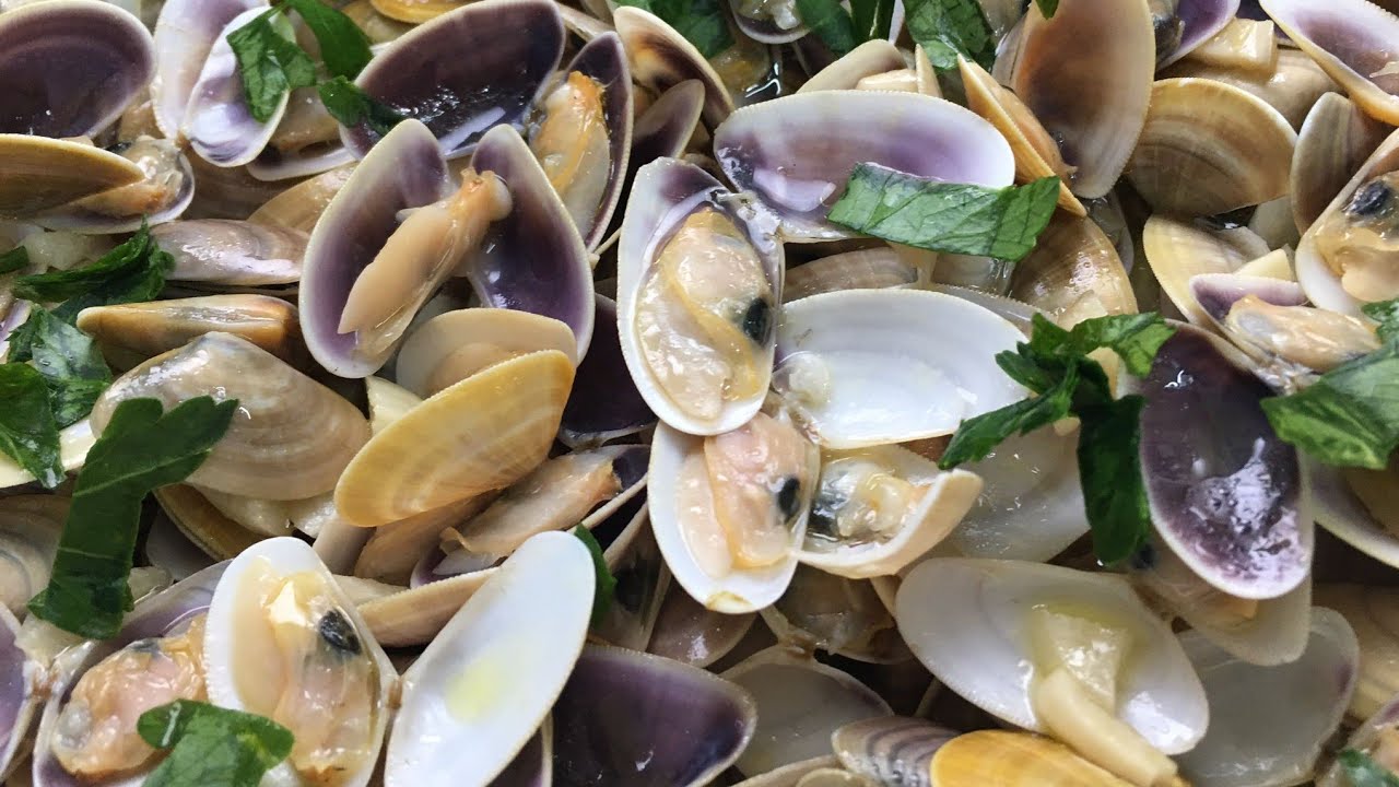 Coquinas al ajillo | CÓMO COCINAR COQUINAS