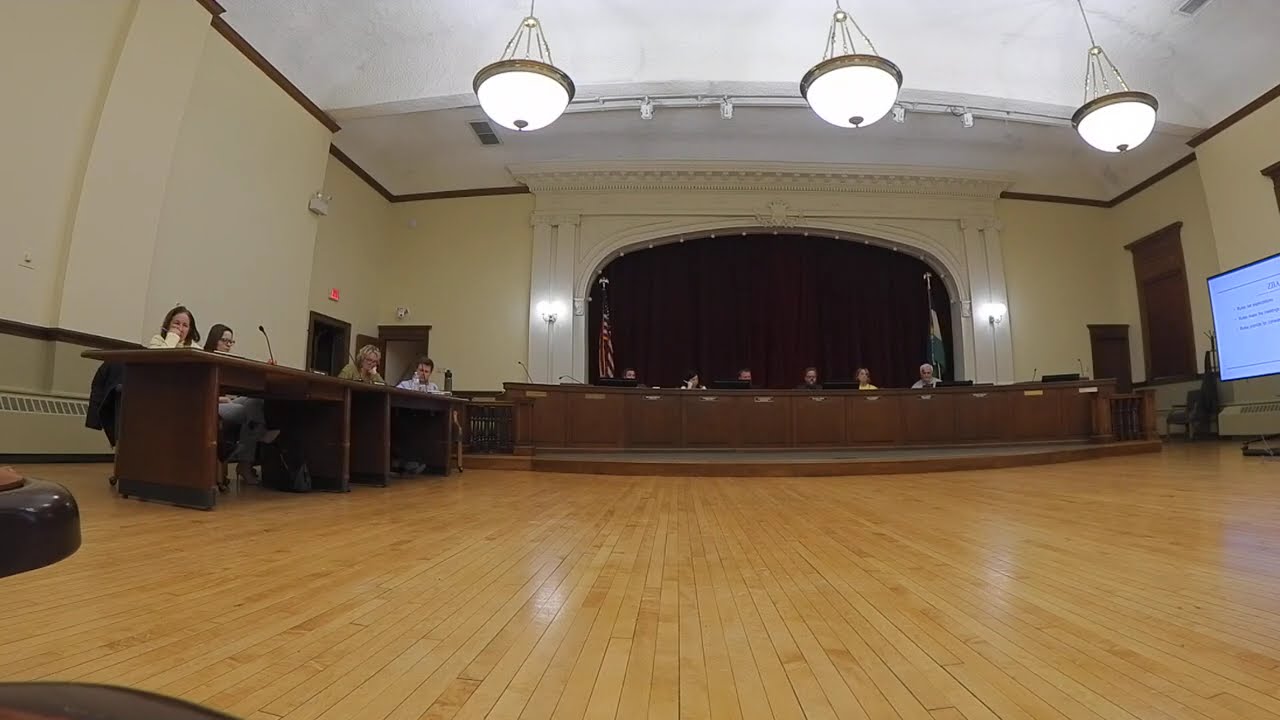 La Grange Illinois 2/11/2026 Zoning Board of Appeals Special Meeting