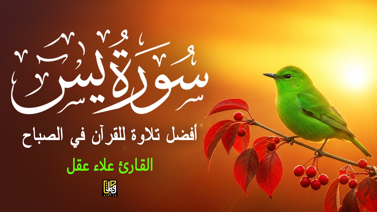 سورة يس (كاملة) أفضل تلاوة للقرآن الكريم في الصباح - القارئ علاء عقل Surah Yaseen By Alaa Aqel
