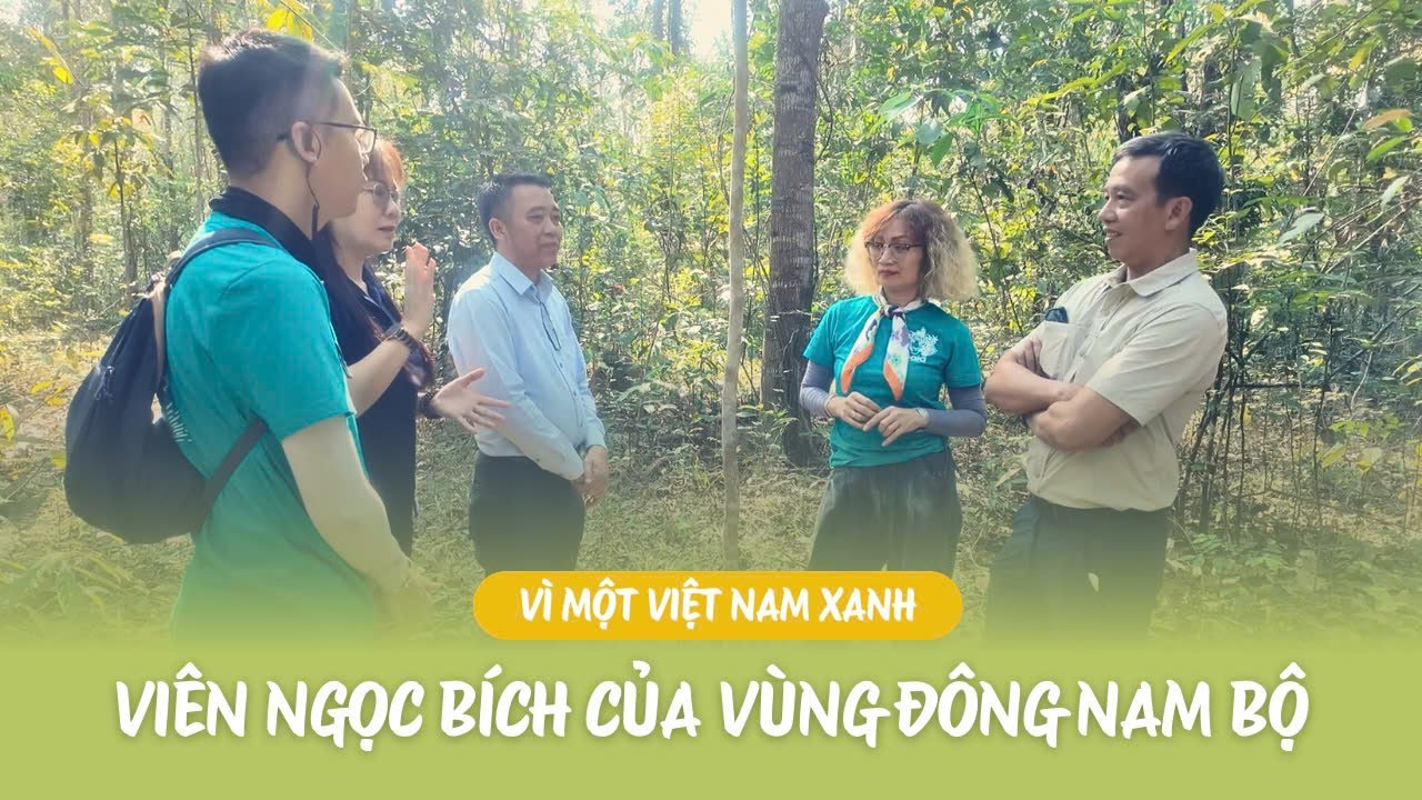 VÌ MỘT VIỆT NAM XANH: VIÊN NGỌC BÍCH CỦA VÙNG ĐÔNG NAM BỘ