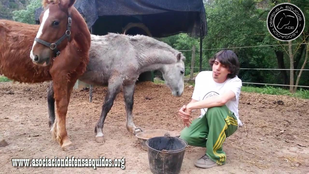 La Rehabilitación de Ares y Aruna - ADE.
